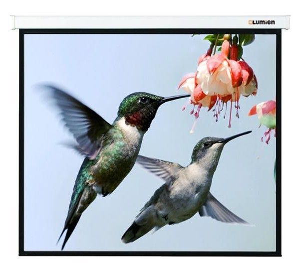Экран для проектора Lumien Master Picture LMP-100117, 202х280 см, 16:9, настенно-потолочный